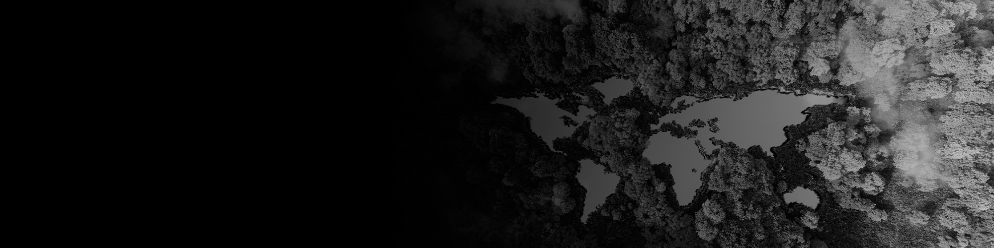 Clean Up Australia Day